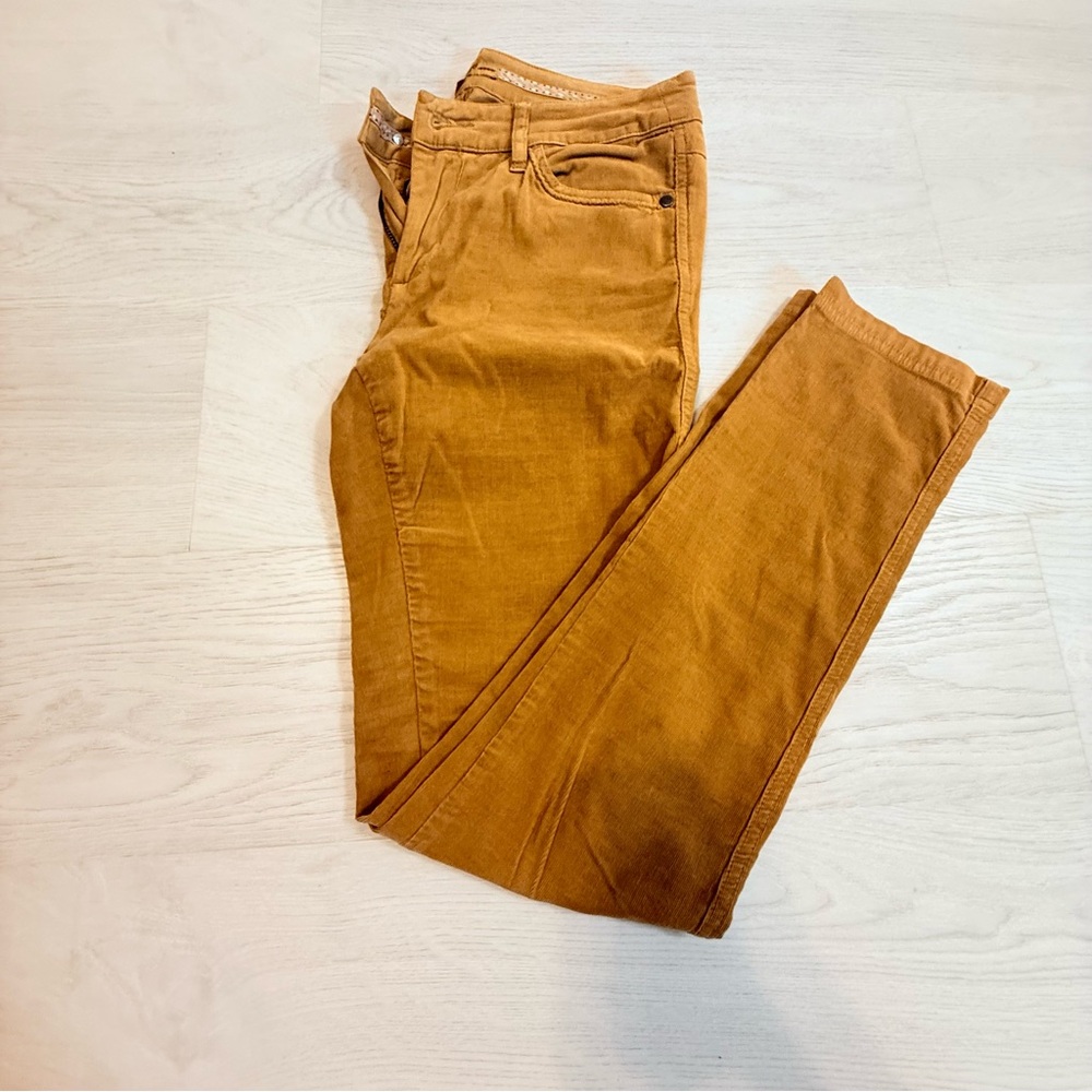 Dubarry Stylish Brown Pants
